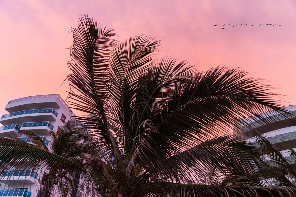 Vistamarina Casa Hotel (Adults Only) Cartagena Exterior foto